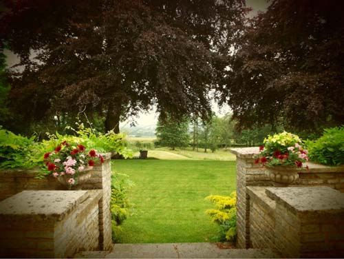 View over the garden